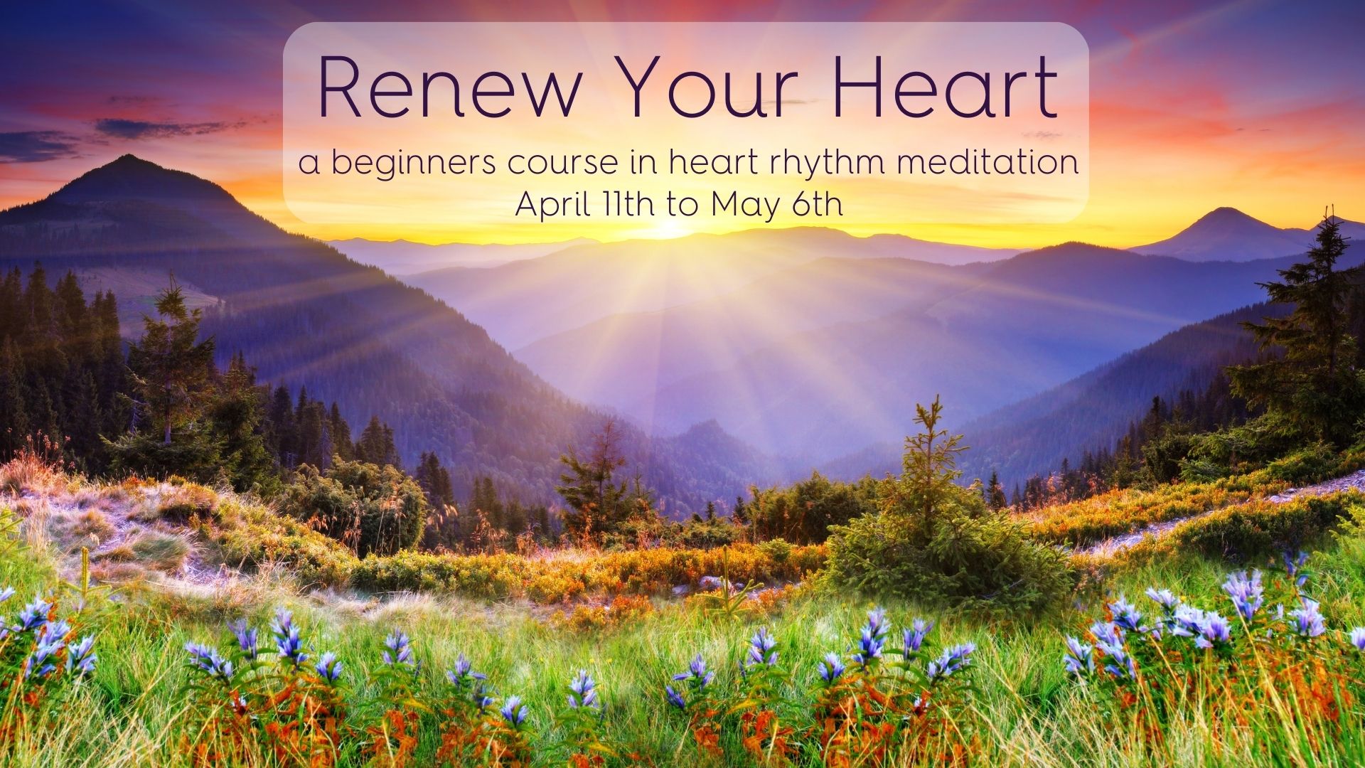 Renew Your Heart